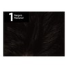 L'Oreal Paris Tinte Capilar Permanente Excell 5, 1 Negro Natural,