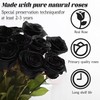 YFYS Forever Flowers for Delivery Prime - 9pcs Preserved Fresh
