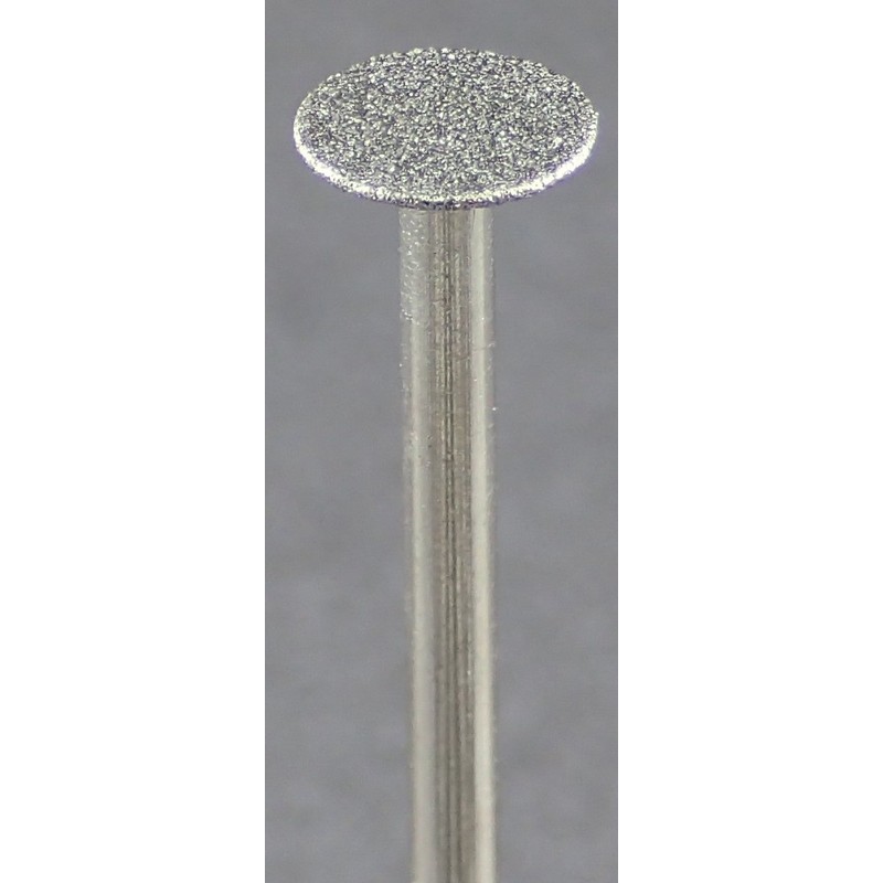 Argo File Electrodeposition Diamond Bit, Mini Cutting Disc, 0.02 inch