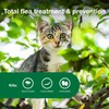 Advantage II Kitten Vet-Recommended Flea Treatment & Prevention | Cats