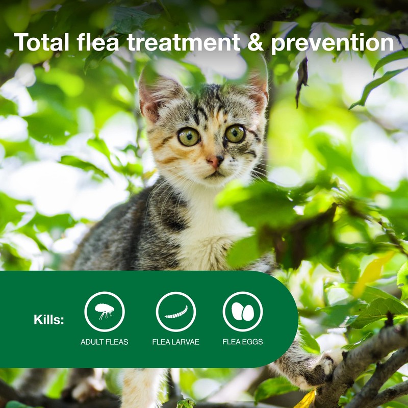 Advantage II Kitten Vet-Recommended Flea Treatment & Prevention | Cats