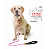 lynxking Dog Leash Slip Lead 5 6 8 FT Dog