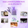 8 Packs Lavender Sachet Bags for Drawers and Closets, Long-Lasting