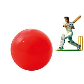 2 x Windball | AirBall | Soft Practice Cricket Ball | Outdoor & Indoor Rubber Cricket Ball With Core & Stitched Seam | For Practice, Honing Skills & Family Fun (2 x Senior)