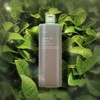 Plant Nara Young Green Tea Moisture Soothing Toner 500mL /