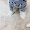 Dog Clothes Cute Pattern Moderate Thickness Soft Comfortable Small Dog