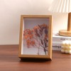 Deep Box Frames Shadow Box - 4X6 Picture Frames for
