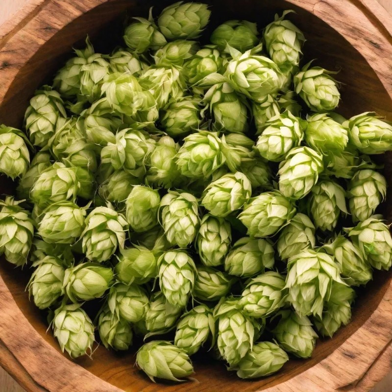 100% Pure Hops Extract Hops Tincture (Humulus Lupulus) Pure CALMING