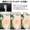 Kenko レンズフィルター ソフトン・スペック(B) 67mm ソフト描写用 367278