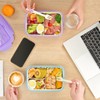 LOVINA Bento Boxes for Adults - 1100 ML Bento Lunch