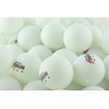 Egurs Table Tennis Set, Ping Pong Set, 2 Table Tennis