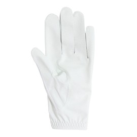 FootJoy Staycool EX Men's Golf Gloves, White/Gray, 9.8 inches (25 cm), multicolor (white / gray)