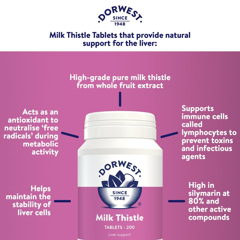 Dorwest Milk Thistle Tablets for Dogs and Cats, 200 Tablets,