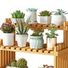Table Top Bamboo Plant Stand Desktop Flower Shelf Rack for