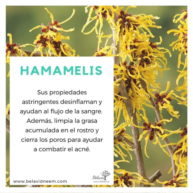 Tónico Facial y Jabon Artesanal Neem