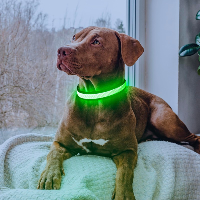 LED Dog Collar, Light Up Dog Collar USB Rechargeable, Brightest