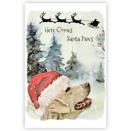 Golden Retriever Dog Art Christmas Card