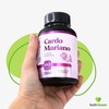 Momosie | Cardo Mariano | Extracto de Silimarina | Milk