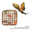 Bird Foraging Wall Toy Boredom Relief Seagrass Hand Woven Parrot