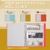 Lion Office Products Pocket Organization File Folders