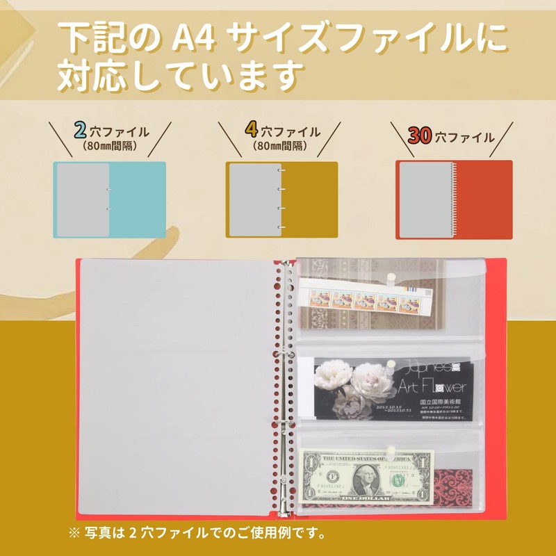 Lion Office Products Pocket Organization File Folders