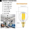 LEOOLS e12 led dimmable g16.5 Light Bulb 6W Equal 60
