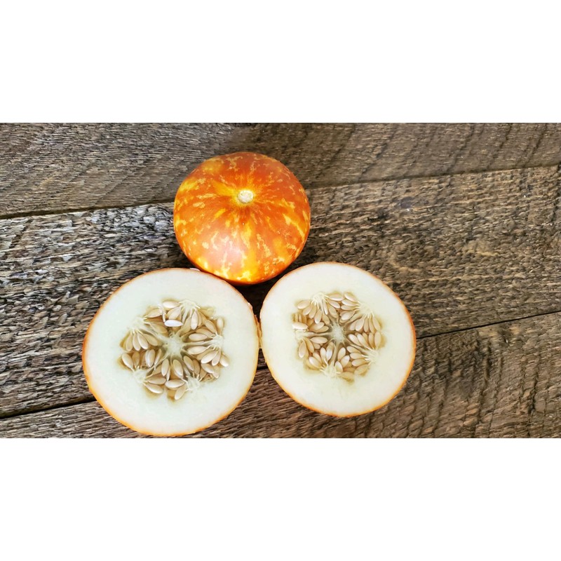 Tigger Melon 30 Seed Pack Pocket Melon, Cucmis Melon, Tigris