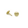 upholstery nails Brass Plated (Gold) Pack of 90 1/3 250