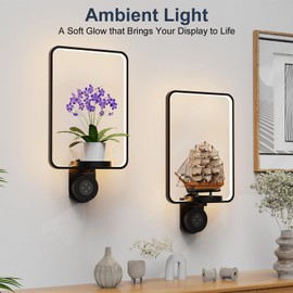 Starxing Wall Plant Holder with Light, 2 Pack Plant Wall Shelf for Indoor Plants, Rechargeable 8000mAh Wall Planters, Dimmable Remote, Modern Plant Wall Decor for Bedroom Living Room