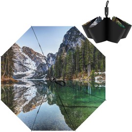 ZUOYOUZ Compact Travel Umbrella,Automatic,Lightweight,Windproof Strong,Folding Umbrella with Pattern for Rain&Sun-Men&Women