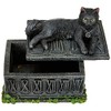 Nemesis Now B2808G6 Fortune's Watcher Tarot Box 17cm Black, Resin