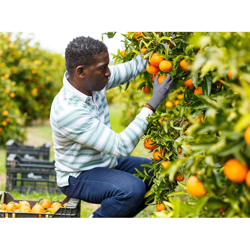 Runner,, 10 (XL), grey