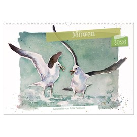 Möwen - Aquarelle von Julia Pasinski (Wandkalender 2026 DIN A3 quer), CALVENDO Monatskalender