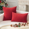K KEVIN TEXTILE Pack of 2 Red Corduroy Decorative Throw