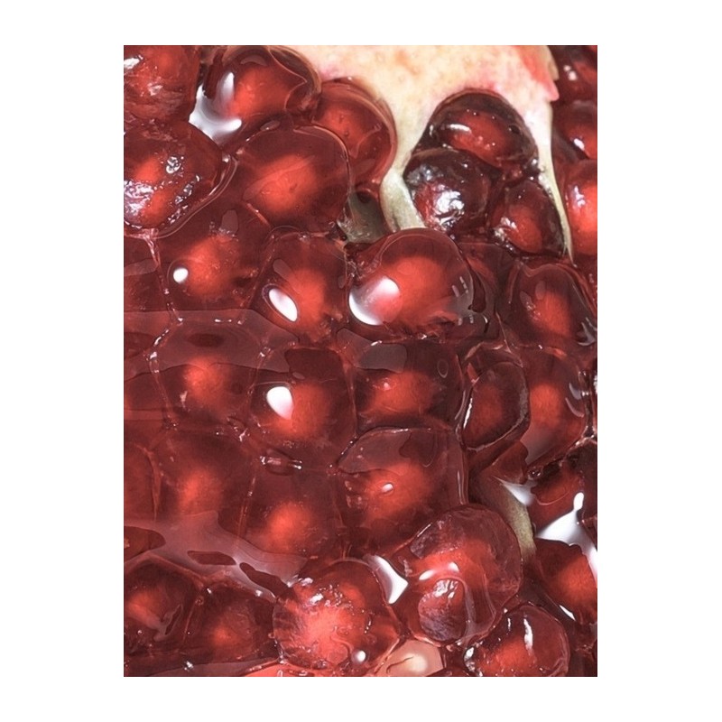 Pomegranate Biome Scalp Balancing Shampoo 480ml & Treatment 250ml /