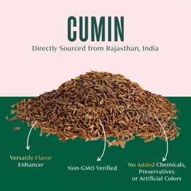 VAHDAM, Cumin Powder (2.47oz/70g) 100% Raw Whole Cumin Ground (Cuminum Cyminum L.) Adds Flavor and Taste | Direct from Source