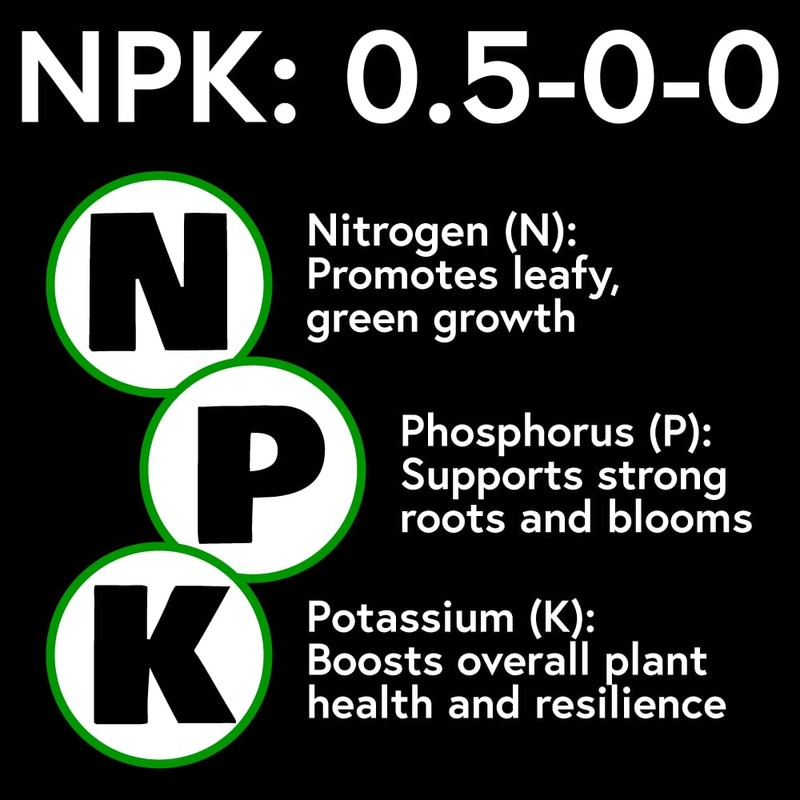 Seedlingers Thatch Smash Turf Food 40 Pound Granular