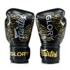 Fairtex Glory Kickboxing Gloves - Limited Edition (Black/Gold - BGVG3,