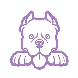 Pitbull Peeking V1 (2 Pack) Vinyl Decal by StickerDad® - Size: 5" - Windows, Walls, Bumpers, Laptop, Lockers, etc. (Lavender)