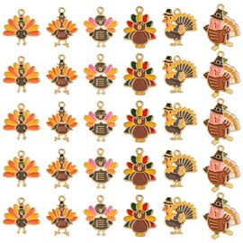 KitBeads 30Pcs 6 Styles Fall Turkey Charms Enamel Thanksgiving Aniaml Chicken Charms for Jewellery Making Bracelets Necklaces Earrings Crafts