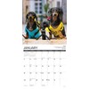 Willow Creek Press Dachshund Rules Monthly 2025 Wall Calendar (12"