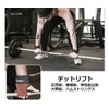 LTG 7987649 Power Grip Muscle Training Gloves, Genuine Leather, Gym,