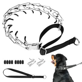 Mayerzon Martingale Prong Collar for Large Medium Dogs Beagle Husky Doberman, Adjustable Pinch Collar for Dogs Walking Training Collar That Pull, Packed with Extra Links, Rubber Cap and Slip Collar