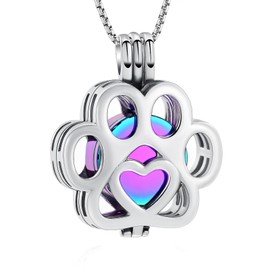 Oinsi Pet Cremation Jewelry For Ashes For Dog/Cat Paw Stainless Steel Memorial Locket Urn Necklace Inside Mini Case Keepsake Cremation Jewelry Women Men (Silver-Colorful)