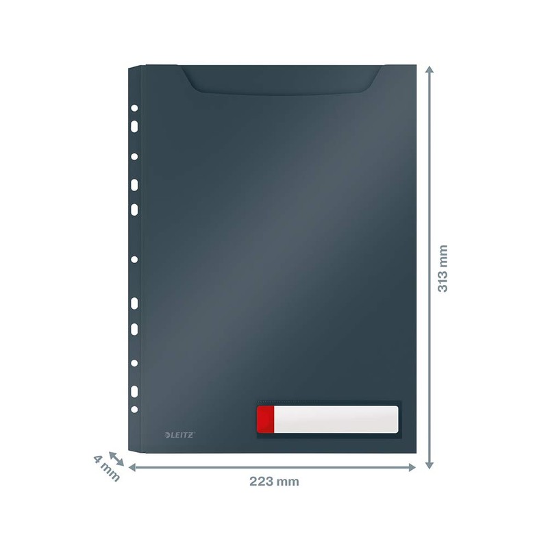 Leitz A4 Privacy Maxi Case, Ideal for up to 150