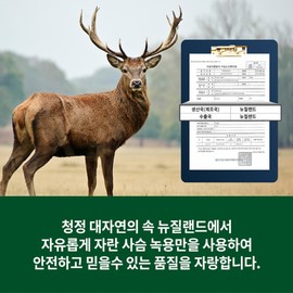 Deer Antler Red Ginseng Extract Stick 100 Packets Parents and Adults Holiday Chuseok Gift Set / 녹용 홍삼 진액 스틱 100포 부모님 어른 명절 추석 선물 세트