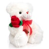 HollyHOME - Oso de peluche (30,5 cm), diseño de oso