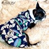 Parisian Pet Palm Leaves Summer Dress - Magic Strap Closure