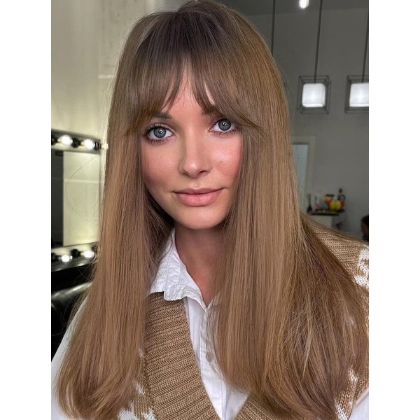 LEMEIZ Ombre Brown Wigs with Blunt Bangs, Synthetic Brown Hair