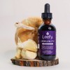 Leefy Organics PRANA - The Original Organic Liquid Turmeric Curcumin